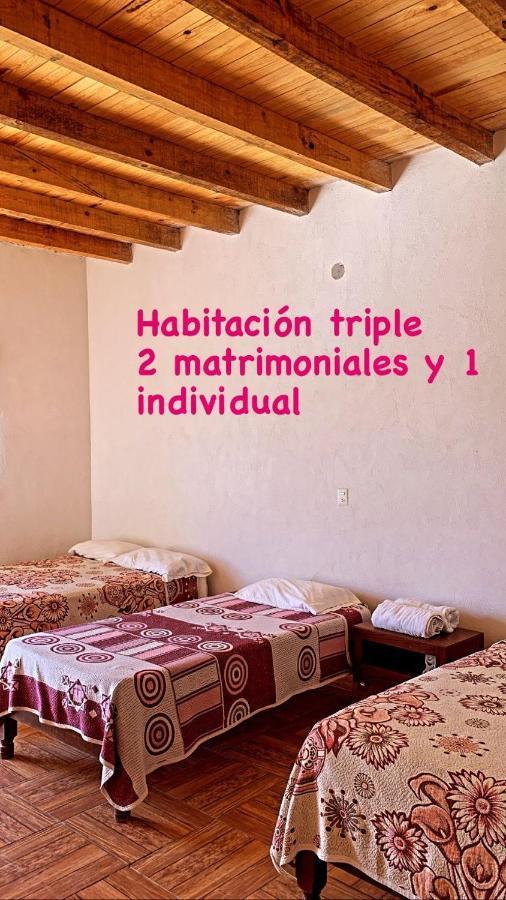 Estacion Catorce Catorce Capital A Una Hora De Real De Catorce מראה חיצוני תמונה